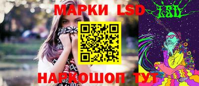 шишки Краснознаменск